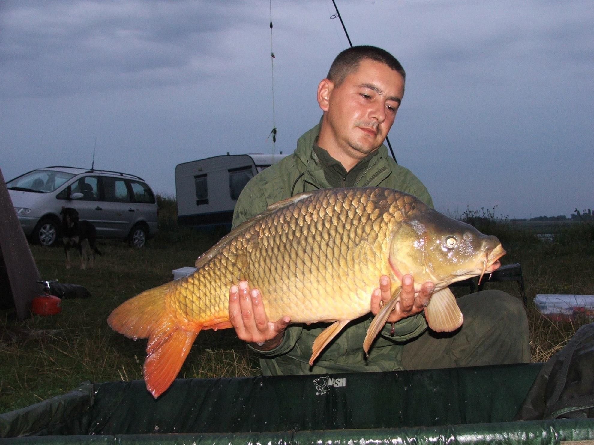 Lates 23-25 August - 11675656291834871488561483722994o.jpg